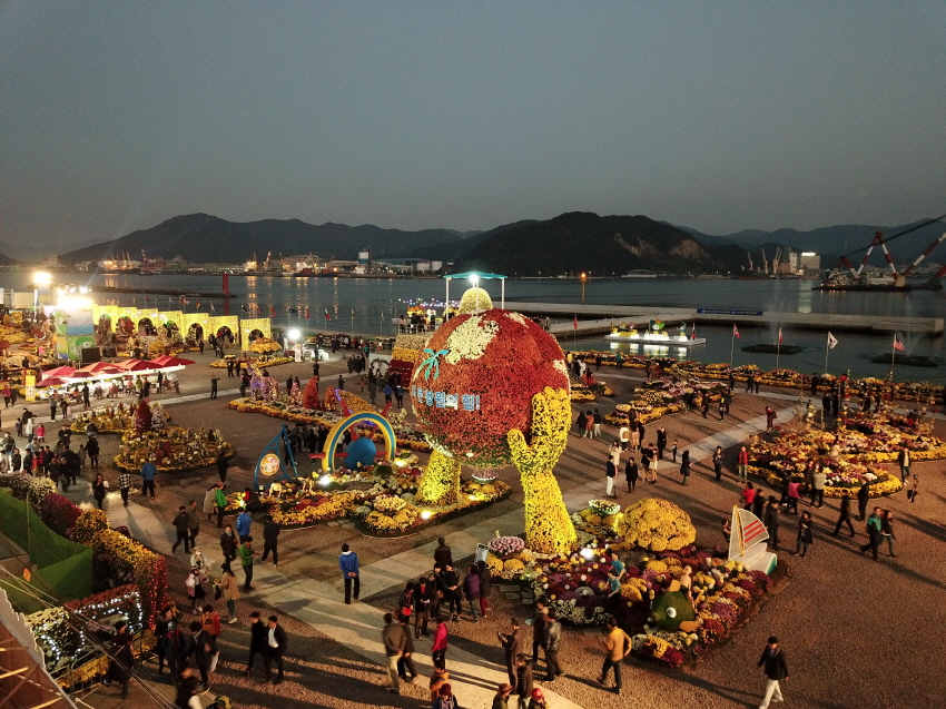 Фестиваль хризантем в Южной Кореи