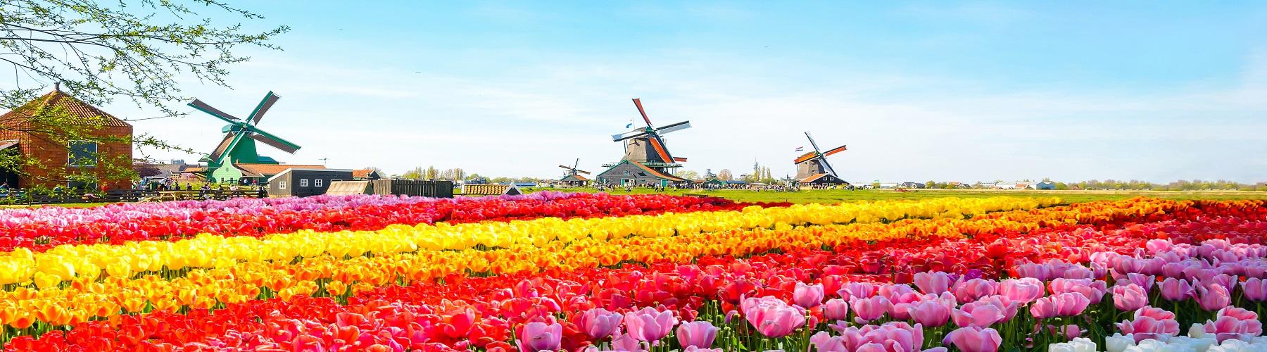 Информация о Нидерландах для самостоятельных путешественников